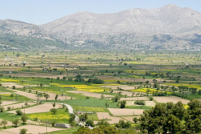 Exploring the ancient Minoan ruins of Knossos with a guided tour